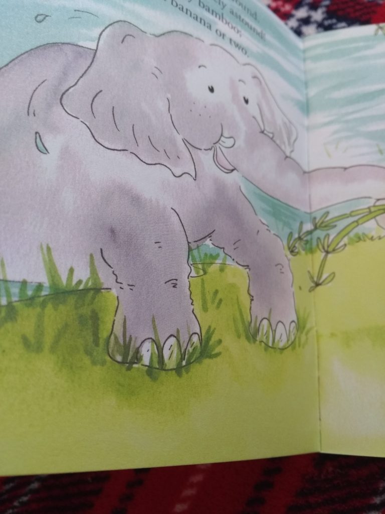 Review of Animal alphabet books