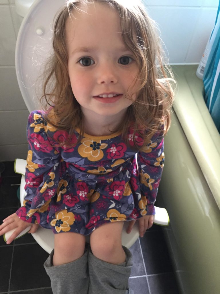 Oxotots 2 in 1 go potty review