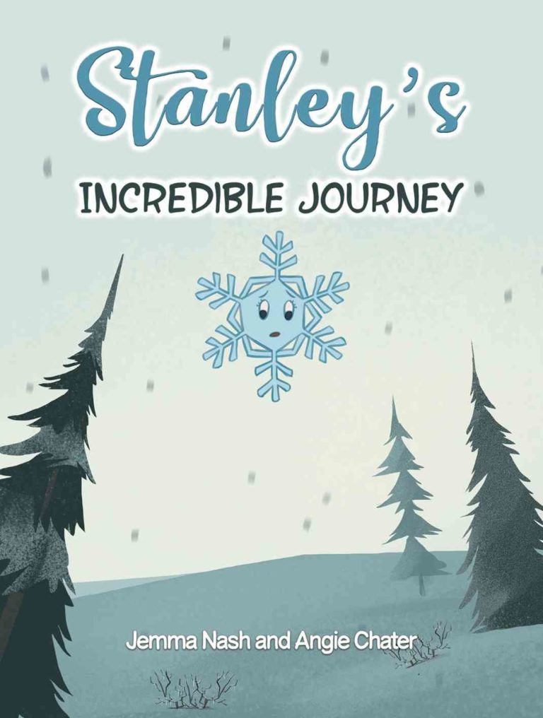 Stanley's incredible journey: Children's book review